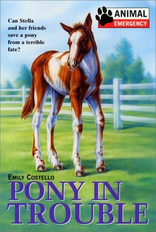 Pony in Trouble