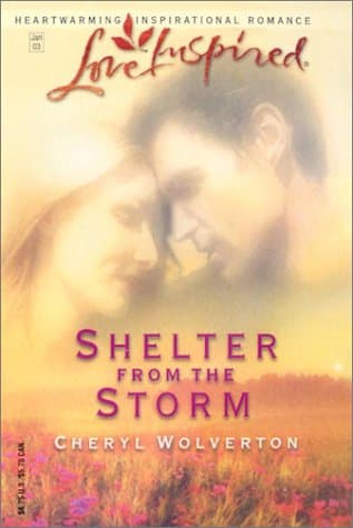 Shelter from the Storm