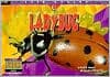 Lady Bug