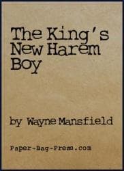 The King's New Harem Boy