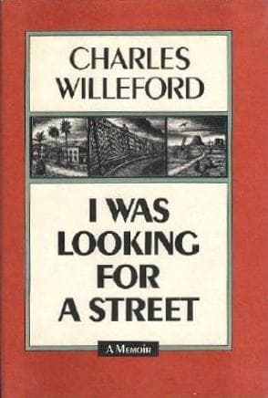 I Was Looking for a Street