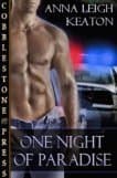 One Night of Paradise