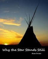 Why the Star Stands Still