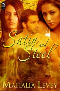 Satin & Steel