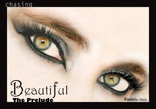 Chasing Beautiful: The Prelude