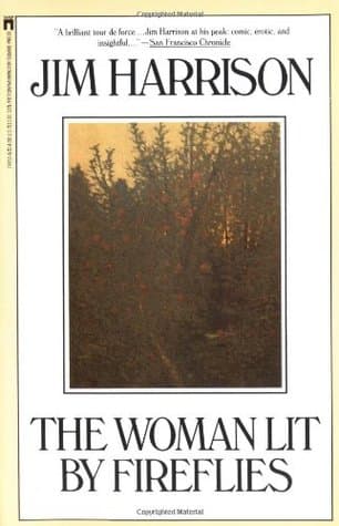The Woman Lit By Fireflies