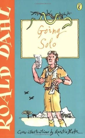 In solitario. Diario di volo