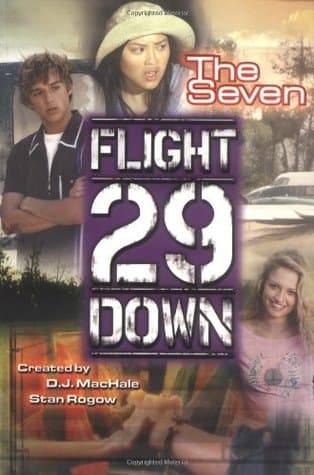 flight 29 down #2 Team