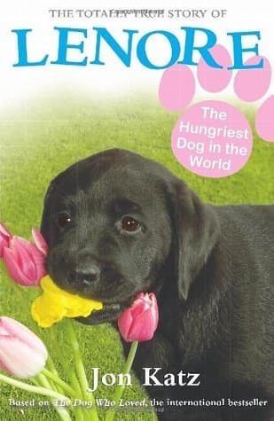Lenore, the Hungriest Dog in the World