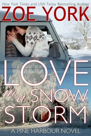 Love in a Snow Storm