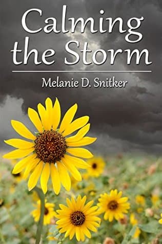 Calming the Storm (ebook)