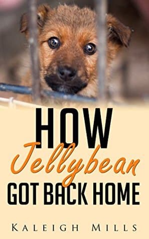 How Jellybean Got Back Home: