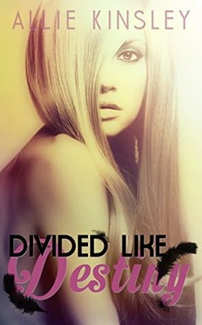 Julien Fox: Divided like Destiny
