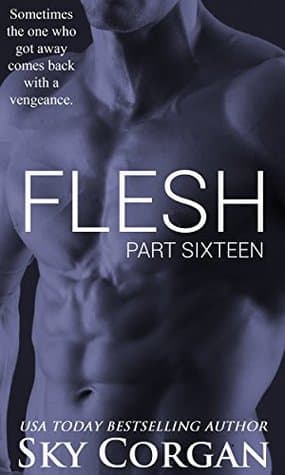 Flesh: Part Sixteen