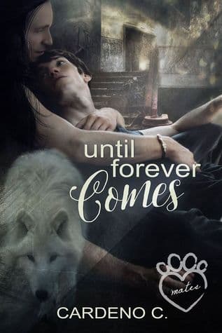 Until Forever Comes