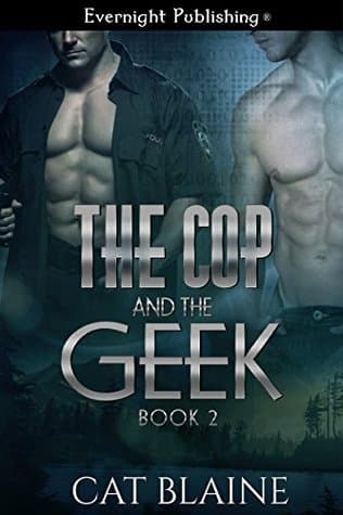 The Cop and the Geek 2