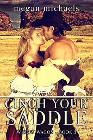 Cinch Your Saddle