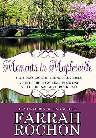 Moments In Maplesville: A Perfect Holiday Fling & A Little Bit Naughty