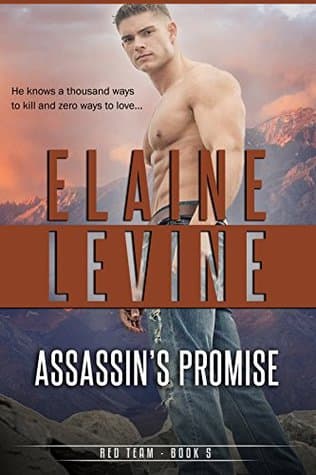 Assassin's Promise