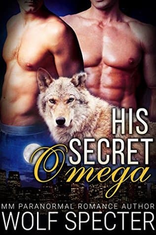 His Secret Omega