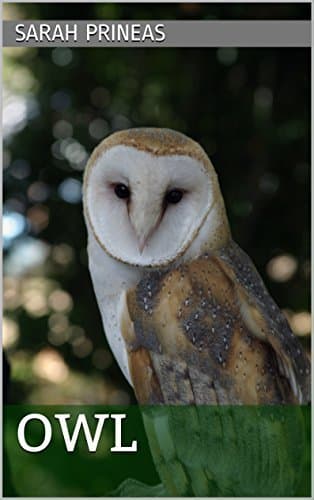 OWL: A Winterling story about Fer and Rook