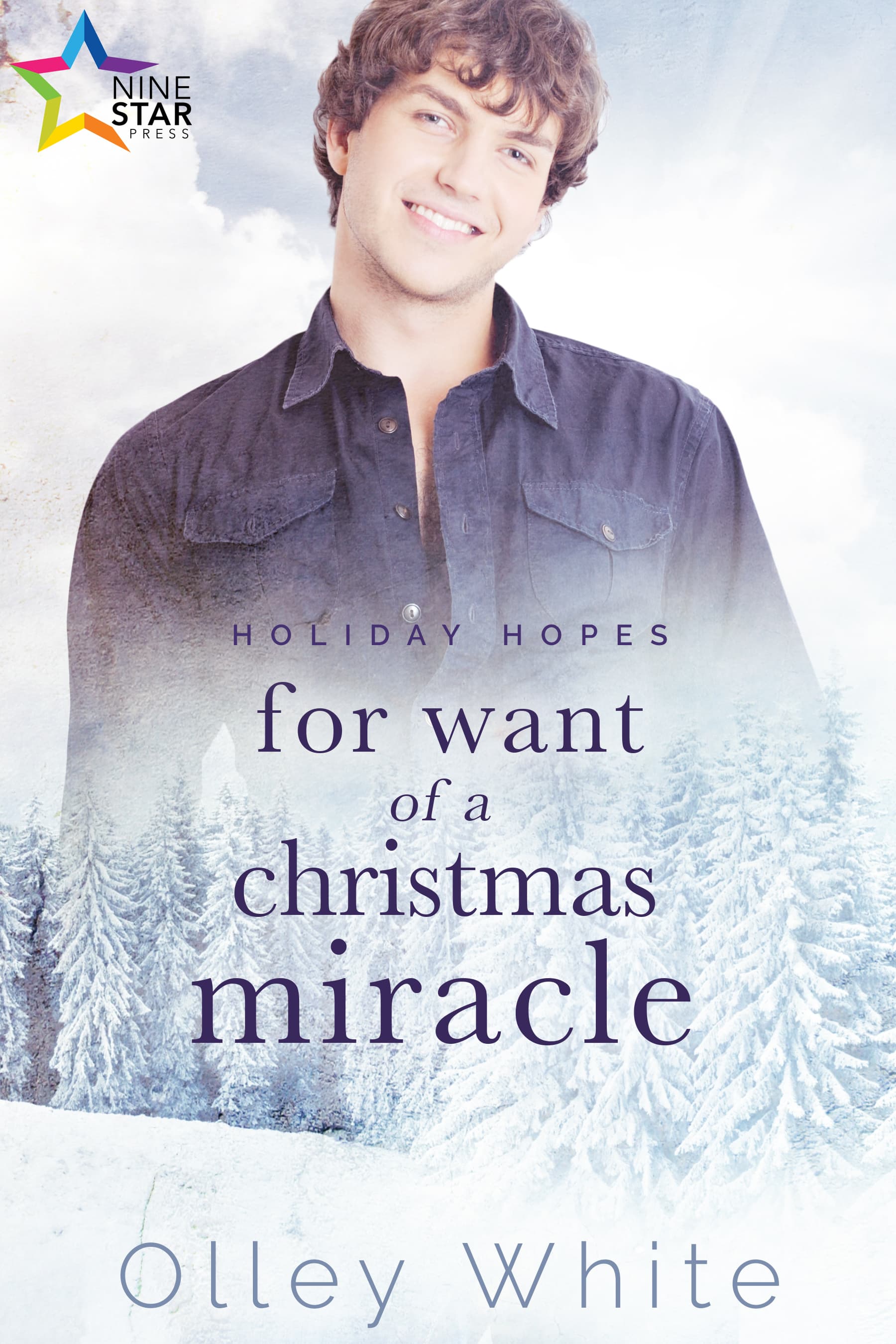 For Want of a Christmas Miracle (Holiday Hopes #1)