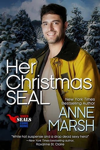 Her Christmas SEAL (When SEALs Come Home #7)