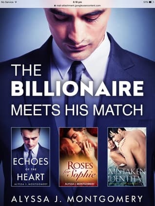 The Billionaire Meets His Match