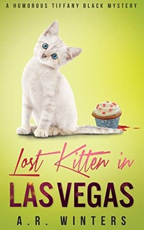 Lost Kitten in Las Vegas
