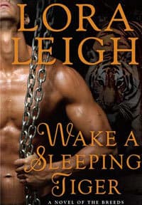 Wake A Sleeping Tiger
