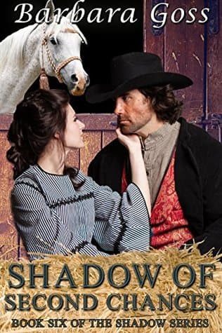 Shadow of Second Chances