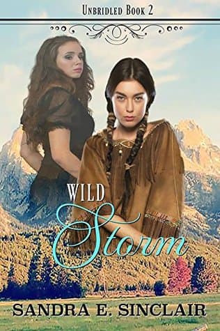 Wild Storm