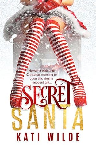 Secret Santa (Hot Holidays)