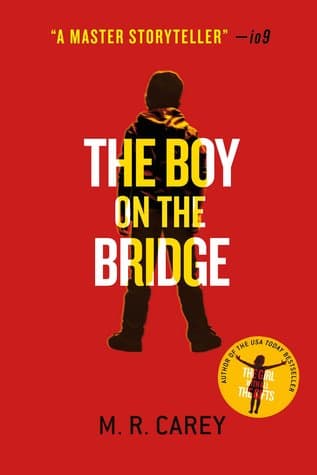 Il ragazzo sul ponte
