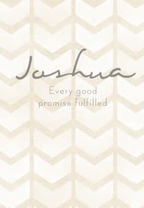 Joshua: Every Good Promise Fulfilled