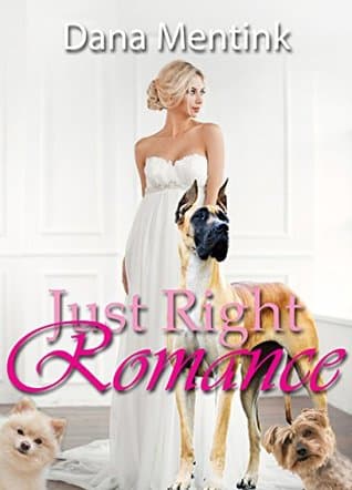 Just Right Romance