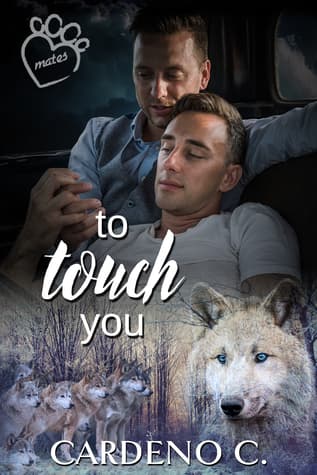 To Touch You