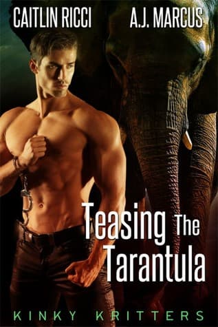 Teasing The Tarantula