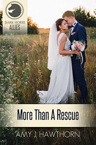 More Than a Rescue