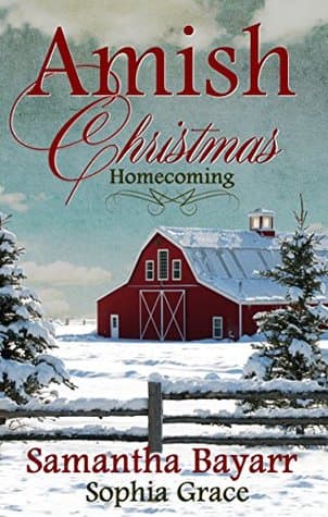 Amish Christmas Homecoming