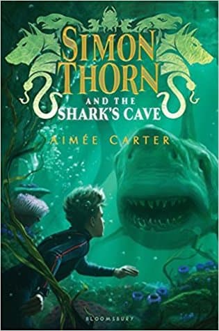 Simon Thorn et la fosse aux requins