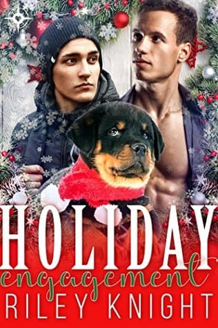 Holiday Engagement