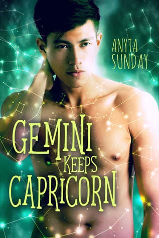 Gêmeos conquista Capricórnio (Signos do amor Livro 3)