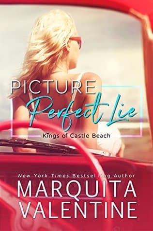 Picture Perfect Lie