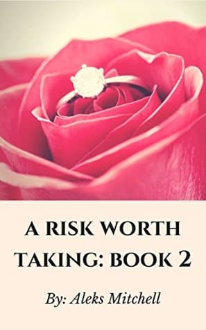 A Risk Worth Taking: Book 2