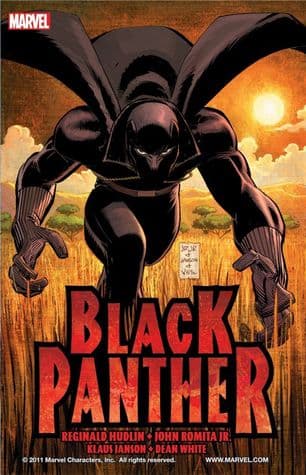 Pantera Negra: Quem é o Pantera Negra?