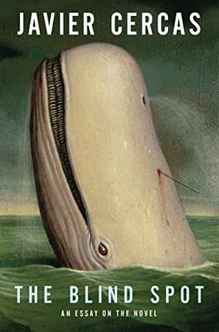 The Blind Spot: An Essay on the Novel