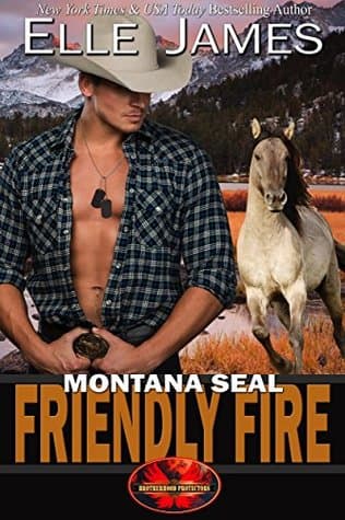 Montana SEAL Friendly Fire