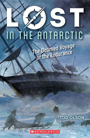 Lost in the Antarctic
