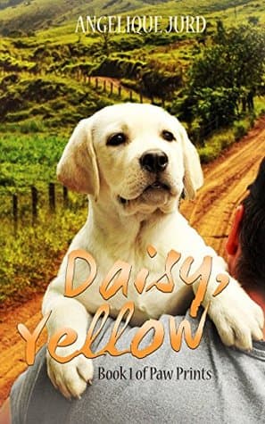 Daisy, Yellow